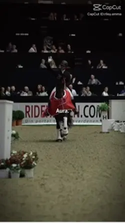 Dressage horses are