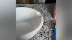 Baking