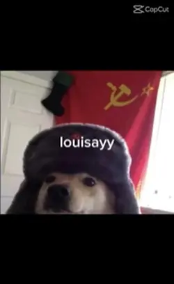 Luisayy
