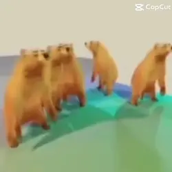 Bears dancing meme